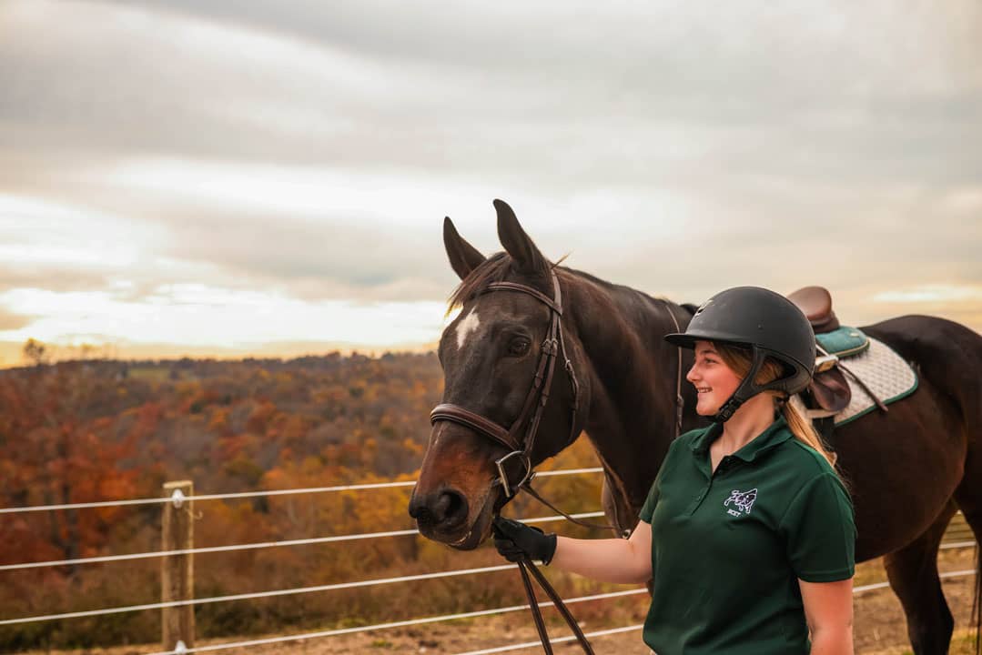 female walking a horse