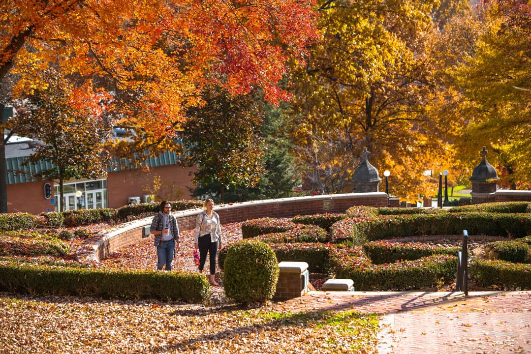 students walking and talking